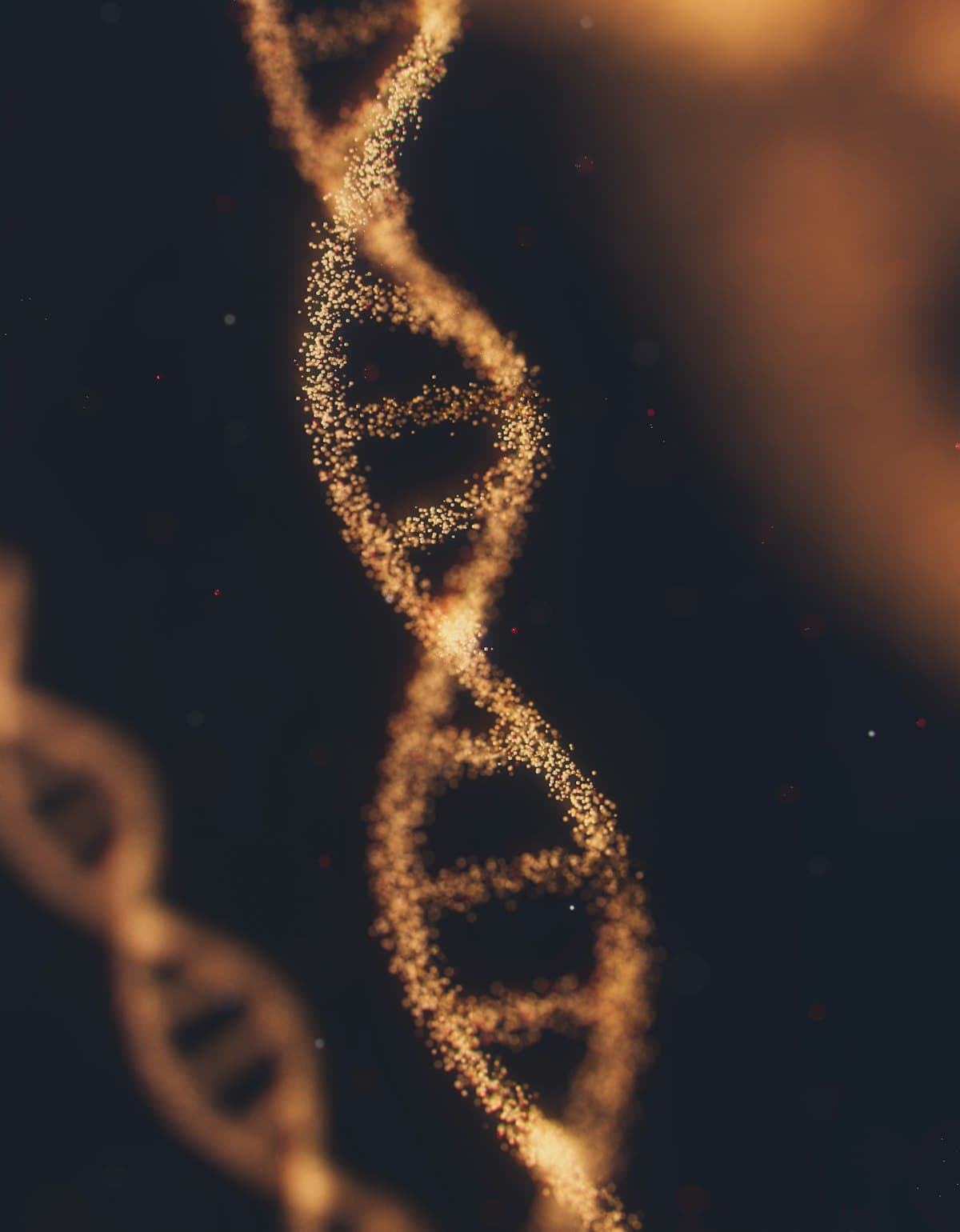 Epithalon: The Pineal Tetrapeptide in Ageing Research